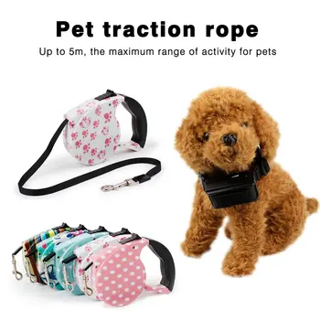 5 M Colored Retractable Dog Leash Extending Leashes Dog Leads Pet Dog Puppy Walking Running Hands Freely Great To Walk The Dog 
5 M Colored Retractable Dog Leash Extending Leashes Dog Leads Pet Dog Puppy Walking Running Hands Freely Great To Walk The Dog
