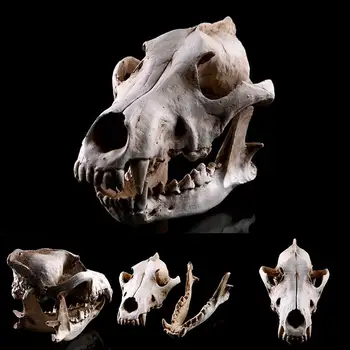 Others Handicrafts Home &Amp; Living Skull Collection Wolf Model Props Movie Process Decoration Resin Craft Decor Garden Decals
Others Handicrafts Home &Amp; Living Skull Collection Wolf Model Props Movie Process Decoration Resin Craft Decor Garden Decals