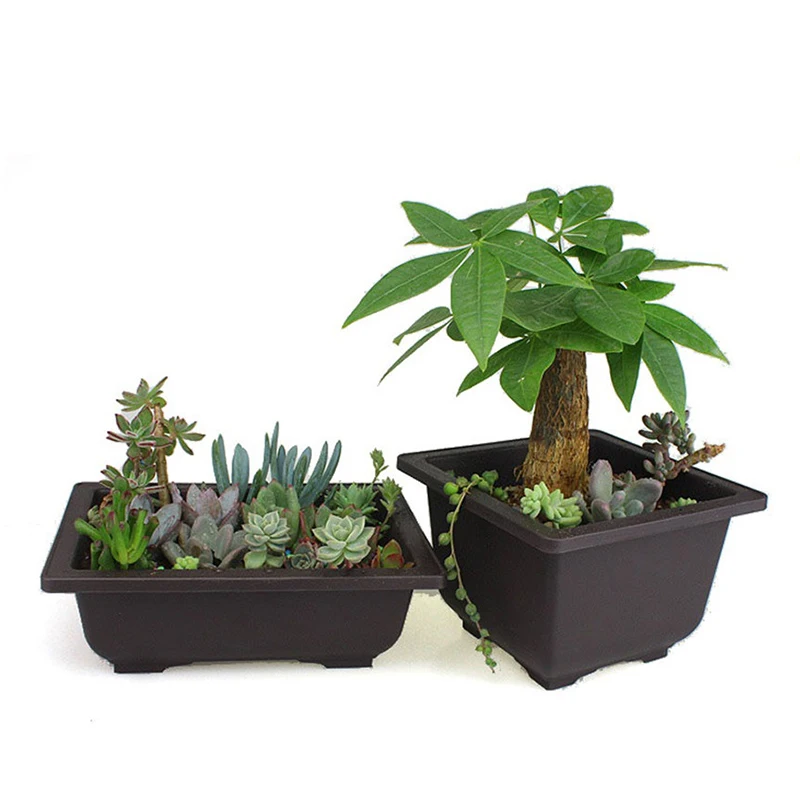 Flower Plant Succulent Bonsai Pots For Flowers Planter Plant Pots Decorative Plastic Balcony Rectangle Bonsai Bowl Basin Nursery
Flower Plant Succulent Bonsai Pots For Flowers Planter Plant Pots Decorative Plastic Balcony Rectangle Bonsai Bowl Basin Nursery