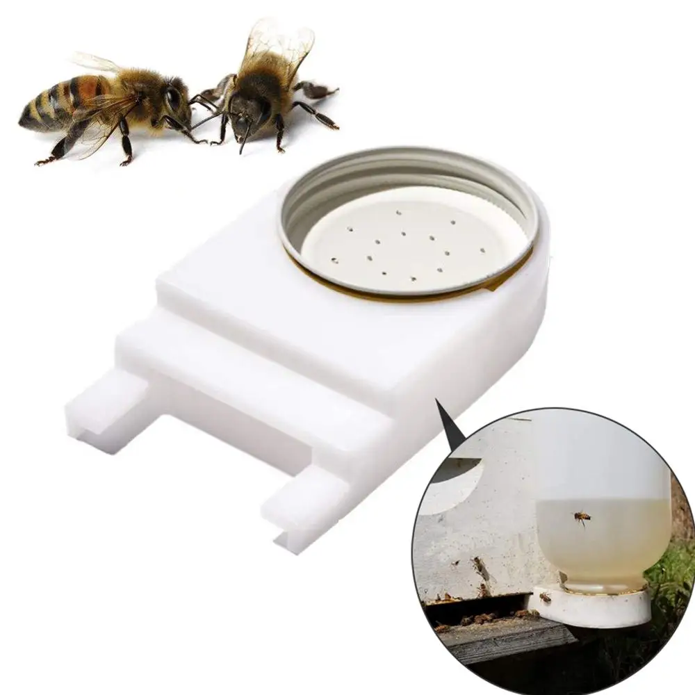 1PC Bee Beekeeping Feeder System Feeders Bees Feeding Bees Nest Door Water Bowl Drinking Dinkers Tools
1PC Bee Beekeeping Feeder System Feeders Bees Feeding Bees Nest Door Water Bowl Drinking Dinkers Tools