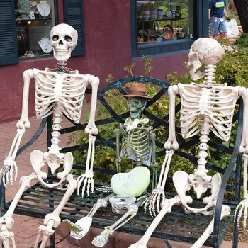 Popular Creative Mini Human Skeleton Halloween Decoration Party Prop Medical Learning Skeleton Model Gift For Children Kids
Popular Creative Mini Human Skeleton Halloween Decoration Party Prop Medical Learning Skeleton Model Gift For Children Kids