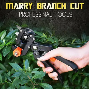 Handmade Garden Scissors Gardening Scissors Stainless Steel Black Sharp Flowers Tree Sturdy Durable Pruning Shears Yardman
Handmade Garden Scissors Gardening Scissors Stainless Steel Black Sharp Flowers Tree Sturdy Durable Pruning Shears Yardman