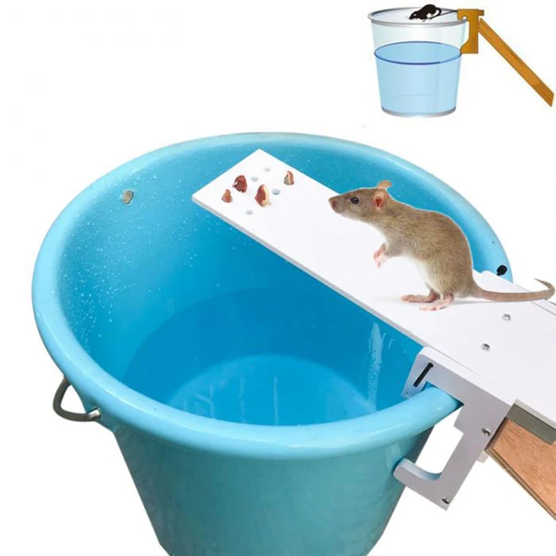 Promotion Home Garden Pest Controller Rat Trap Quick Kill Seesaw Mouse Catcher Bait
Promotion Home Garden Pest Controller Rat Trap Quick Kill Seesaw Mouse Catcher Bait