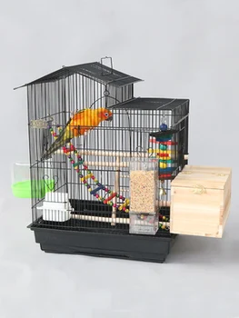 Beloved New Home Parrot Bird Cage Large Breeding Cage Large Metal Matching Cage Tiger Skin Peony Xuanfeng Myna
Beloved New Home Parrot Bird Cage Large Breeding Cage Large Metal Matching Cage Tiger Skin Peony Xuanfeng Myna