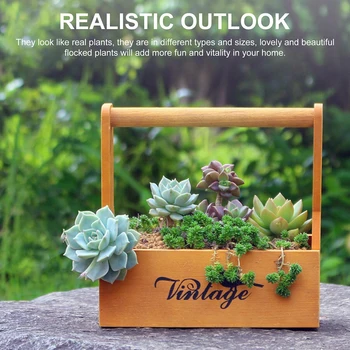 11Pcs/set Plastic Artificial Succulent Flocking Plant Fake Succulent Home Decoration Artificial Plants
11Pcs/set Plastic Artificial Succulent Flocking Plant Fake Succulent Home Decoration Artificial Plants
