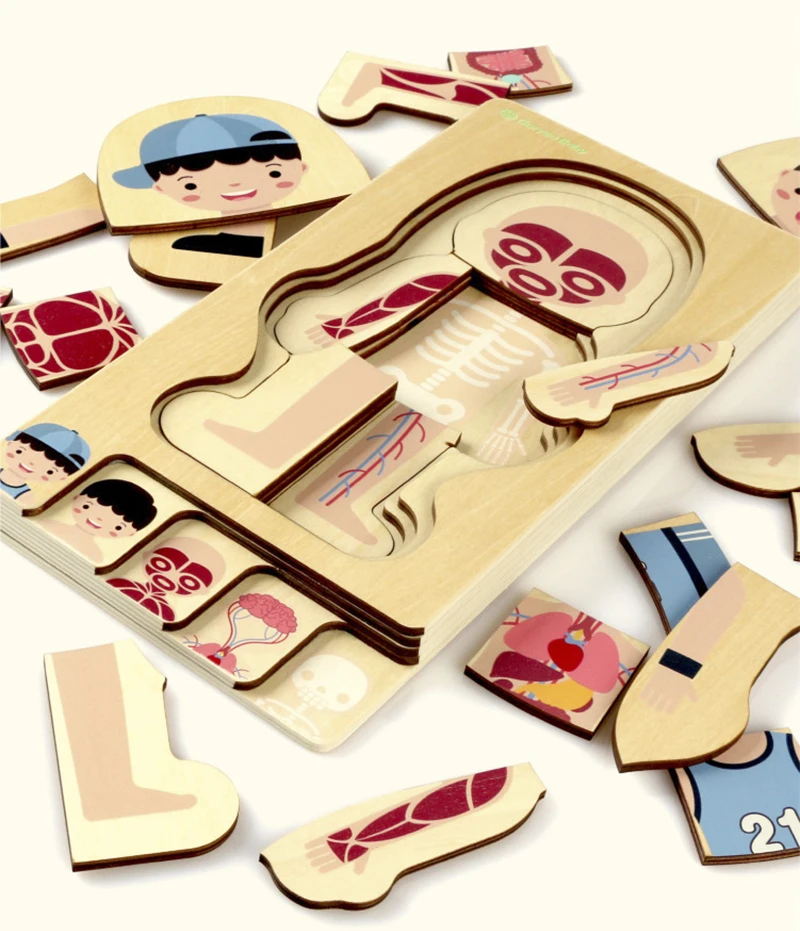 Montessori Wooden Body Puzzle Educational Toy for Kids Learning Anatomy