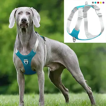 Strong Pet Dog Harness Dog Training Reflective Chest Belt Vest Adjustable Outdoor Protective Harness for Small Medium Big Dogs 
Strong Pet Dog Harness Dog Training Reflective Chest Belt Vest Adjustable Outdoor Protective Harness for Small Medium Big Dogs