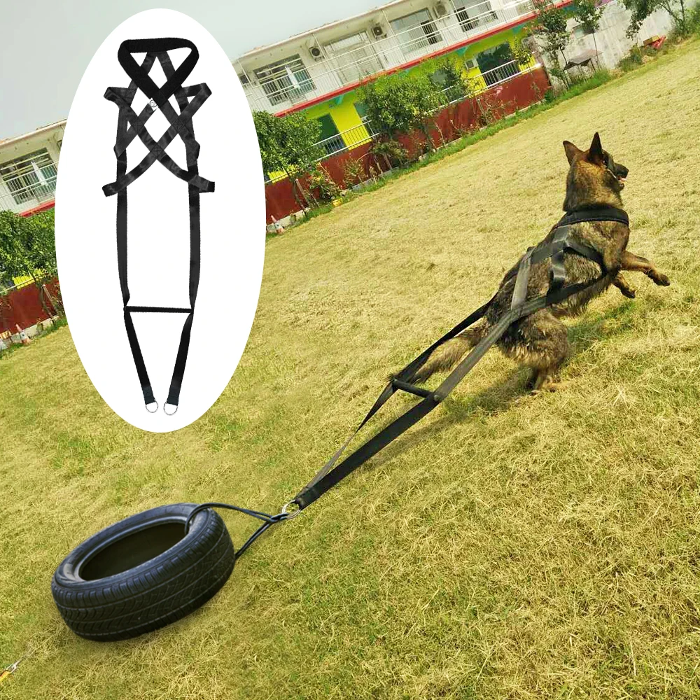 Dog Training Product Supplier Toys K9 Dog Adjustable Treats Trainer Pet Accessories for Medium Large Dogs German Shepherd
Dog Training Product Supplier Toys K9 Dog Adjustable Treats Trainer Pet Accessories for Medium Large Dogs German Shepherd