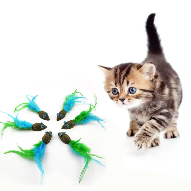 Pet Toys 1/5/10 Pcs Funny Teaser Cat Toy Natural Catnip Mouse Shape with Soft Green Feathers
Pet Toys 1/5/10 Pcs Funny Teaser Cat Toy Natural Catnip Mouse Shape with Soft Green Feathers
