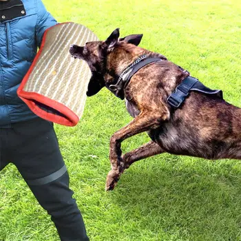 Professional Thicken Dogs Bit Training Arm Sleeve for Arm Protection Biting Pet Interactive for Puppy Biting Playing Home Pet
Professional Thicken Dogs Bit Training Arm Sleeve for Arm Protection Biting Pet Interactive for Puppy Biting Playing Home Pet