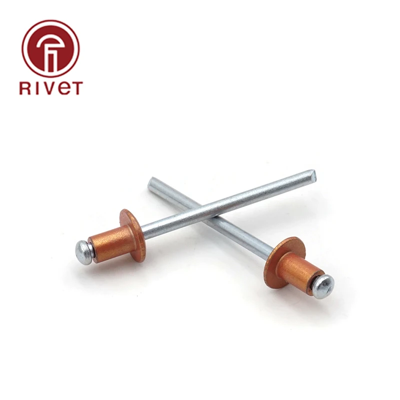 4x6 4x7 4x8 4x9 4x10 4x11 4x12 mm Golden Aluminium Steel Open Blind Rivet Dome Head Rivets Pulling Rivets Decoration Pop Rivets
4x6 4x7 4x8 4x9 4x10 4x11 4x12 mm Golden Aluminium Steel Open Blind Rivet Dome Head Rivets Pulling Rivets Decoration Pop Rivets