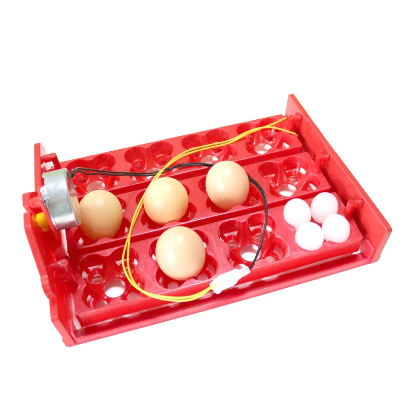 12 Eggs/48 Birds Eggs Incubator Turn Eggs Tray 220V / 110V / 12V Motor Chicken Bird Hatching Equipment DIY Incubator Accessories
12 Eggs/48 Birds Eggs Incubator Turn Eggs Tray 220V / 110V / 12V Motor Chicken Bird Hatching Equipment DIY Incubator Accessories