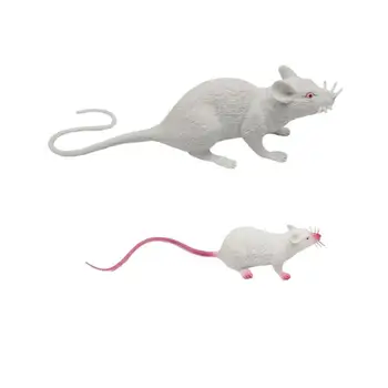 2PCS Creative Novelty Funny Scary Lifelike Photo Prop Imitated Mouse Model Prank Toy for Game April Fools' Day Party 
2PCS Creative Novelty Funny Scary Lifelike Photo Prop Imitated Mouse Model Prank Toy for Game April Fools' Day Party