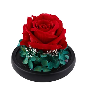 Love Glass Cover Simulation Rose Lighting Decoration Valentines Day Gift Rose In Glass Dome Decoration Crafts Figurines
Love Glass Cover Simulation Rose Lighting Decoration Valentines Day Gift Rose In Glass Dome Decoration Crafts Figurines