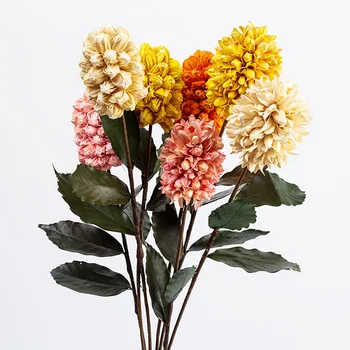 Natural Hyacinth Dried Flower Pastoral Display Floral Home Living Room Party Decoration
Natural Hyacinth Dried Flower Pastoral Display Floral Home Living Room Party Decoration