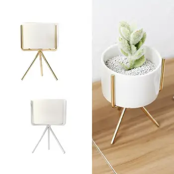 Flower Pot Geometric Display Stand Economic Ceramic Beautiful Home Flower Stand Creative Flower Pot Rack Garden Holder Planting
Flower Pot Geometric Display Stand Economic Ceramic Beautiful Home Flower Stand Creative Flower Pot Rack Garden Holder Planting