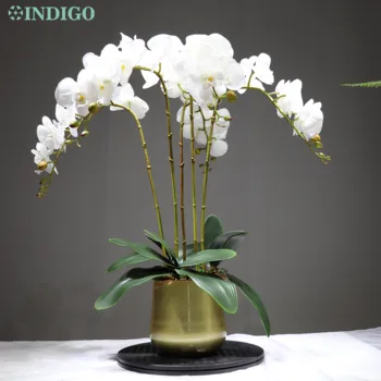 INDIGO- Large Phalaenopsis Orchid Real Touch Flower Artificial Flower Wedding Decoration Moth Orchid Floral Christmas Party
INDIGO- Large Phalaenopsis Orchid Real Touch Flower Artificial Flower Wedding Decoration Moth Orchid Floral Christmas Party