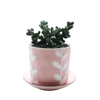 Pink Girl Heart Hand-painted Succulent Flower Pot Succulent Plant Lines Flower Pot Container Valentine's Day Gift
Pink Girl Heart Hand-painted Succulent Flower Pot Succulent Plant Lines Flower Pot Container Valentine's Day Gift