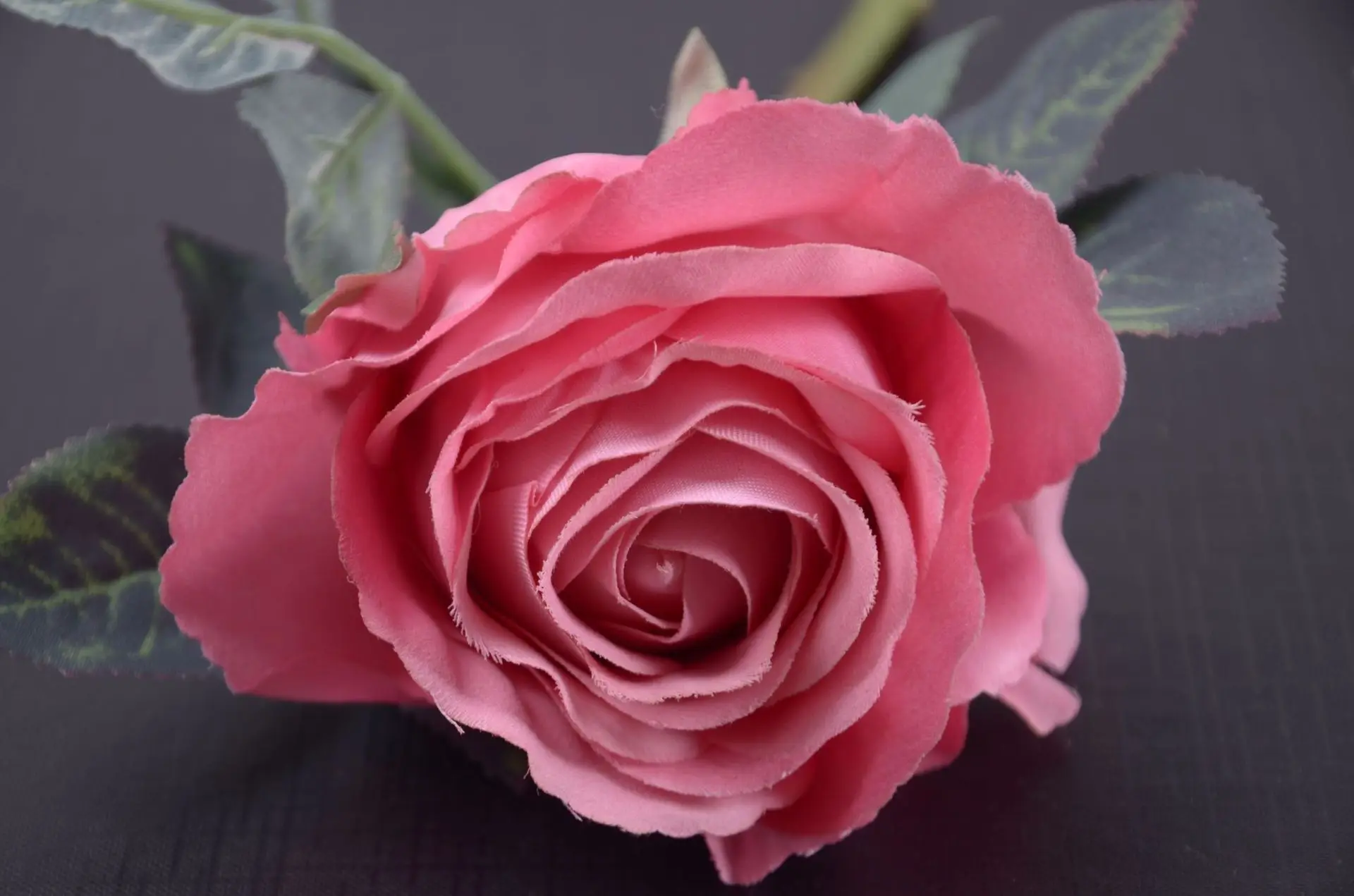 dan wei rose single bottle indoor decoration rose model wedding