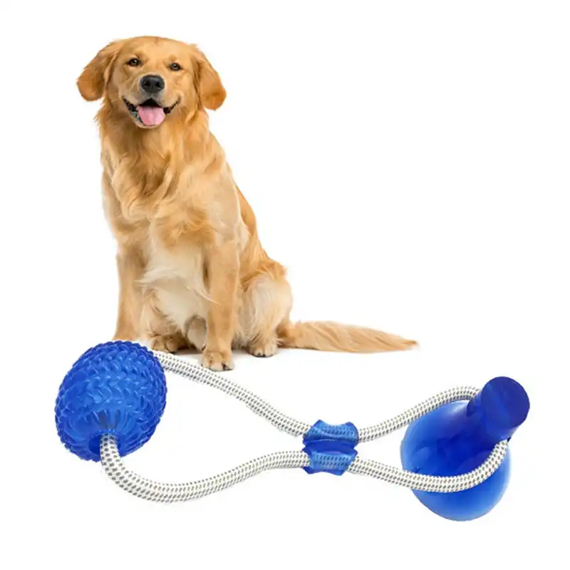 outdoor toys for small dogs