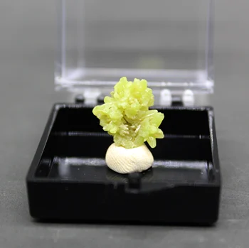 100% Natural Pyromorphite mineral specimen stones and crystals collection gemstones quartz from China
100% Natural Pyromorphite mineral specimen stones and crystals collection gemstones quartz from China