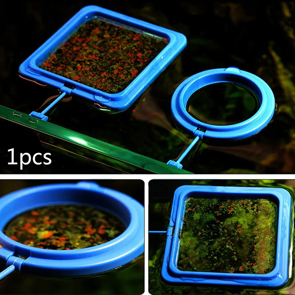 Feeding Circle Aquatic Tropical Fish Feeding Ornamental Feeding Fish Aquarium Double Feeding Circle Professional
Feeding Circle Aquatic Tropical Fish Feeding Ornamental Feeding Fish Aquarium Double Feeding Circle Professional