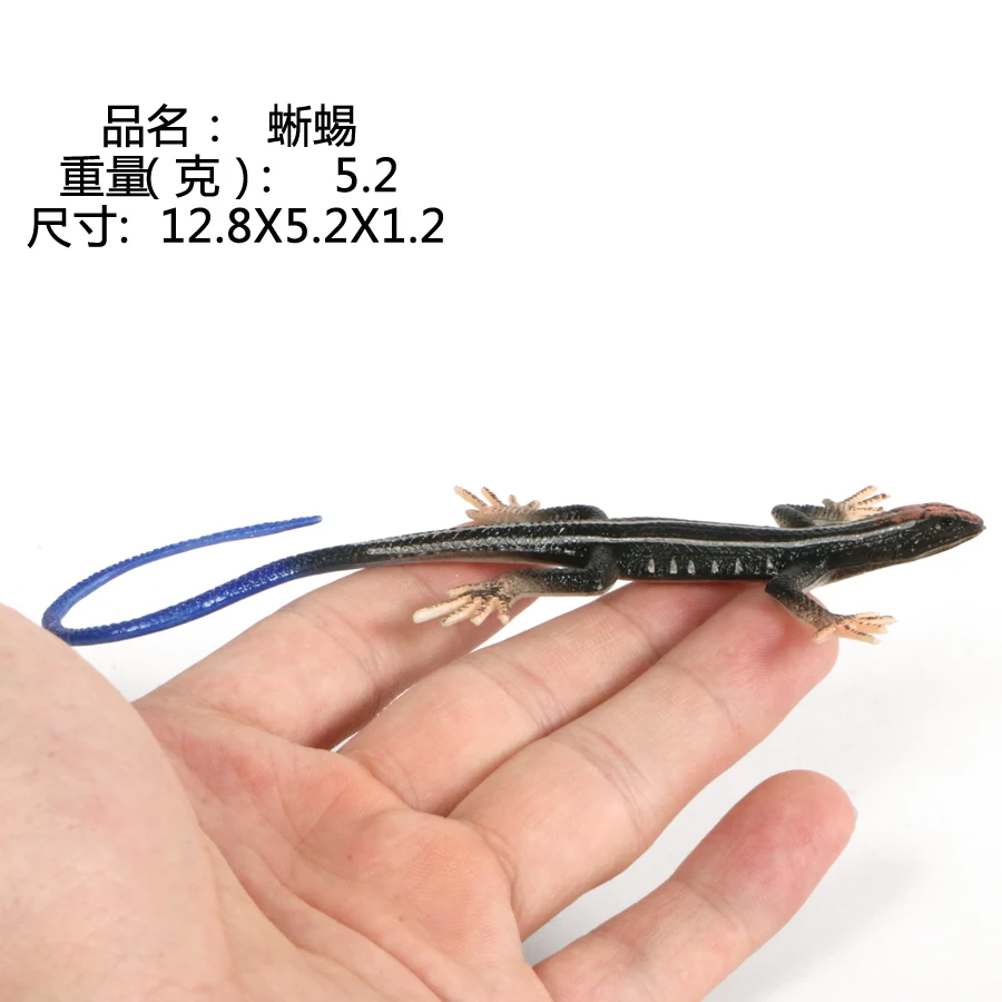 PL127-1512 蜥蜴