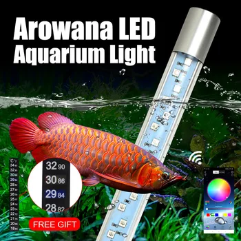 Aquarium Light Submersible APP Remote Control Intelligent Timing 5050 RGB LED Color-changing Aquarium LED Light for Arowana
Aquarium Light Submersible APP Remote Control Intelligent Timing 5050 RGB LED Color-changing Aquarium LED Light for Arowana