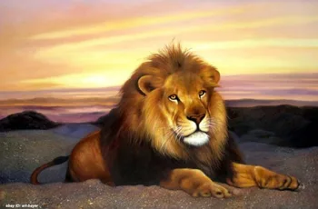 High quality Pertty Oilpainting African Lion Wall Deco 100%
High quality Pertty Oilpainting African Lion Wall Deco 100%