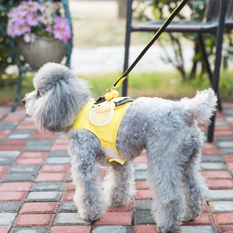 DogsMall-International | Bee Shape Vest For Miniature Poodle