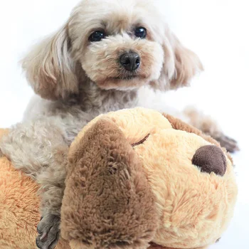 Washable With Heartbeat Bedroom Puppy Behavioral Aid Toy Training Multifunction Home Dogs Cats Stress Relief Soft Plush
Washable With Heartbeat Bedroom Puppy Behavioral Aid Toy Training Multifunction Home Dogs Cats Stress Relief Soft Plush