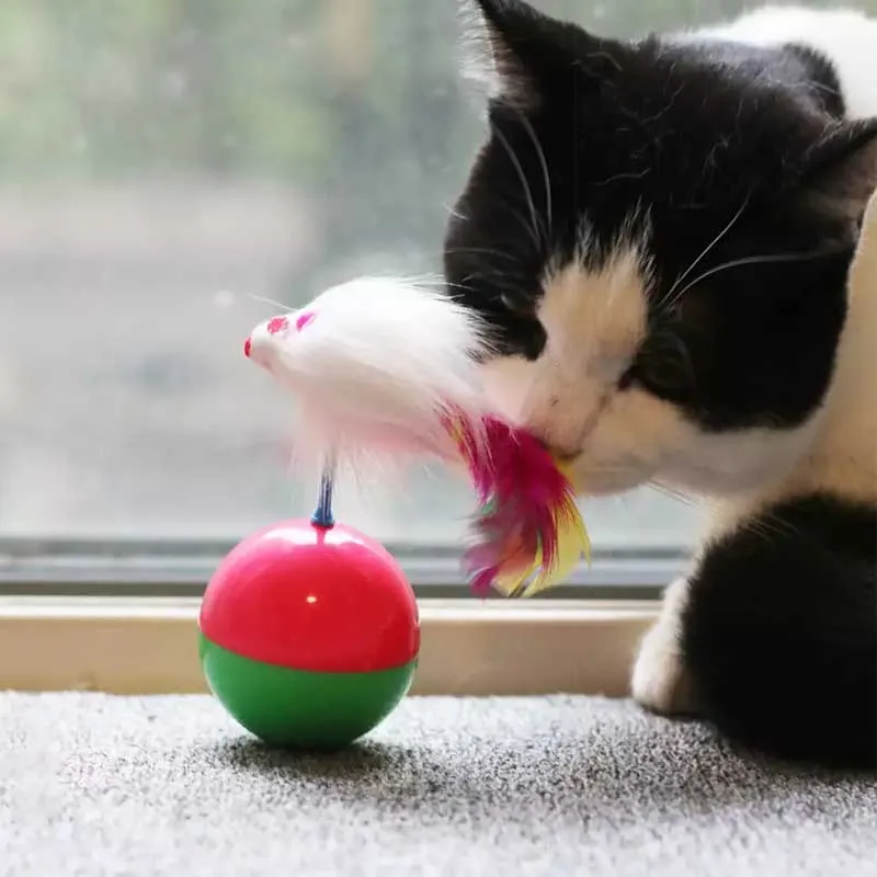 pets tumbler cats plush mouse Bell Feather Vocal toy cat scratch toy apply to pet game training exercise ndestructible cat toy
pets tumbler cats plush mouse Bell Feather Vocal toy cat scratch toy apply to pet game training exercise ndestructible cat toy