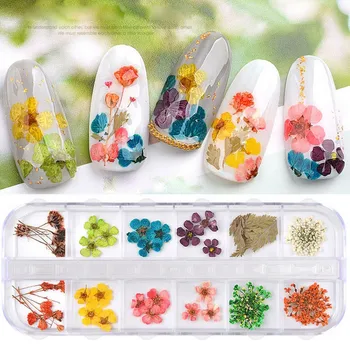 12 Colors 3D Decoration Real Dry Dried Flower For UV Gel Acrylic Nail Art Tips nail stickers Nagel Nail Art Femme
12 Colors 3D Decoration Real Dry Dried Flower For UV Gel Acrylic Nail Art Tips nail stickers Nagel Nail Art Femme