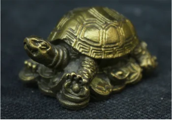 Chinese China Fengshui Culture Lucky Money Old Brass Statue Tortoise Sculpture
Chinese China Fengshui Culture Lucky Money Old Brass Statue Tortoise Sculpture