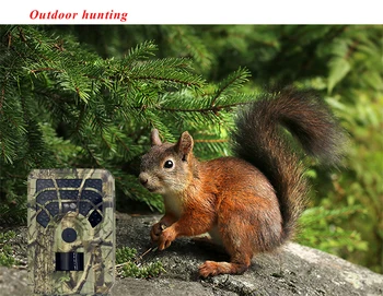 Hunting Trail Action Camera Wildlife Camera With Night Vision Motion Activated Outdoor Trail Camera Trigger Wildlife Scouting
Hunting Trail Action Camera Wildlife Camera With Night Vision Motion Activated Outdoor Trail Camera Trigger Wildlife Scouting