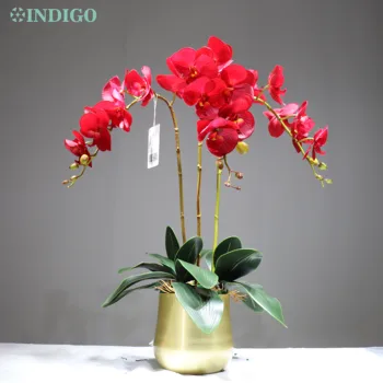 INDIGO - Red Orchid DIY (1 Set with Pot) Flower Arrangment Large 90cm Real Touch Wedding Party Flower Decorative Event Display
INDIGO - Red Orchid DIY (1 Set with Pot) Flower Arrangment Large 90cm Real Touch Wedding Party Flower Decorative Event Display