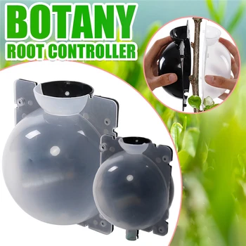 1/3/5/10pcs Plant Rooting Ball Grafting Rooting Growing Box Case Breeding Case Propagation for Garden Hydroponics device box
1/3/5/10pcs Plant Rooting Ball Grafting Rooting Growing Box Case Breeding Case Propagation for Garden Hydroponics device box