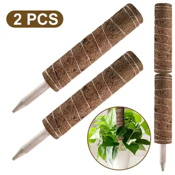 Plant Support Totem Pole Coconut Sticks Coco Coir Poles Support Plants To Grow Upwards - Use Moss Poles Scindapsus climbing fram 
Plant Support Totem Pole Coconut Sticks Coco Coir Poles Support Plants To Grow Upwards - Use Moss Poles Scindapsus climbing fram