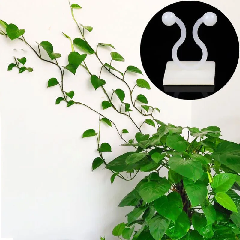 10pcs Wall Mounted Rattan Clamp Clip Invisible Wall Vine Climbing Sticky Hook Rattan Fixed Clip Bracket Plant Stent Supports
10pcs Wall Mounted Rattan Clamp Clip Invisible Wall Vine Climbing Sticky Hook Rattan Fixed Clip Bracket Plant Stent Supports