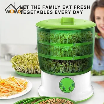 Automatic Sprouter Machine Bean Sprouts Growing Machine Large-capacity Sprouting Seedling Machines
Automatic Sprouter Machine Bean Sprouts Growing Machine Large-capacity Sprouting Seedling Machines