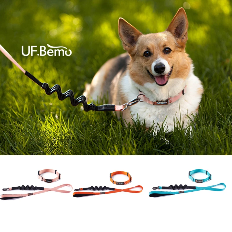 UFBemo Thicker Dog Collar Leash Pet Products with Id Tag for Pitbull Collar Perro Personalizado for Medium and Big Dogs Leads
UFBemo Thicker Dog Collar Leash Pet Products with Id Tag for Pitbull Collar Perro Personalizado for Medium and Big Dogs Leads