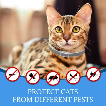 Waterproof Cat Collars Flea and Tick Collar for Cats 2 pack Cat Supplies Pet Heal Caring Tool Products
Waterproof Cat Collars Flea and Tick Collar for Cats 2 pack Cat Supplies Pet Heal Caring Tool Products