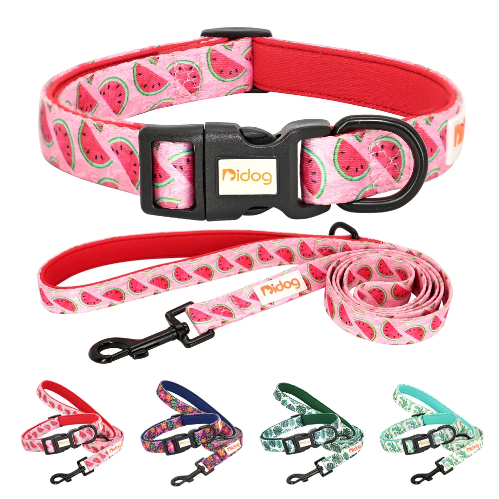 Print Nylon Dog Collar and Leash Set Adjustable Puppy Collars Soft Pet Necklace Walking Leash For Small Medium Dogs Cats Bulldog
Print Nylon Dog Collar and Leash Set Adjustable Puppy Collars Soft Pet Necklace Walking Leash For Small Medium Dogs Cats Bulldog