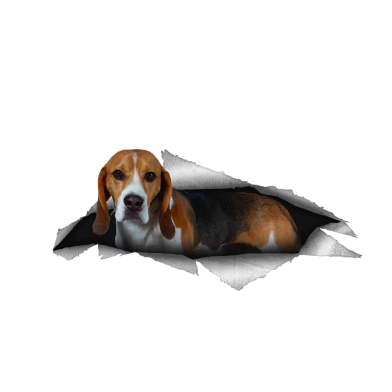 Creative Beagle Dog Pet Car Sticker Accessories Motorcycle waterproof car Window Decal PVC 13cm X 6cm
Creative Beagle Dog Pet Car Sticker Accessories Motorcycle waterproof car Window Decal PVC 13cm X 6cm