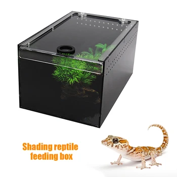Reptile Breeding Tank Insect Spider Lizard Tortoise Acrylic Geckos Rectangle Sunshade Feeding Box Ventilation Hole Terrarium
Reptile Breeding Tank Insect Spider Lizard Tortoise Acrylic Geckos Rectangle Sunshade Feeding Box Ventilation Hole Terrarium