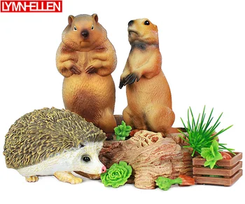 Gift Solid Simulation Wild Animal Model Toy Mouse Groundhog Squirrel Hala Hedgehog Environmental Plastic Model
Gift Solid Simulation Wild Animal Model Toy Mouse Groundhog Squirrel Hala Hedgehog Environmental Plastic Model