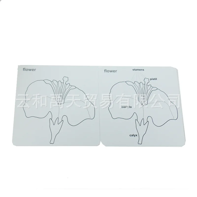 Children'S Educational Wooden Toys Plant Jigsaw Puzzle Card Parent And Child Fun Games
Children'S Educational Wooden Toys Plant Jigsaw Puzzle Card Parent And Child Fun Games