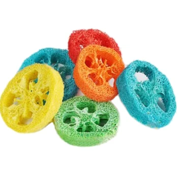 20PCS Natural Plant Loofah Molars Chews Pet Toys 2 Packs Pet Molar Toys Loofah Parrot Nibbles Toy Pieces
20PCS Natural Plant Loofah Molars Chews Pet Toys 2 Packs Pet Molar Toys Loofah Parrot Nibbles Toy Pieces