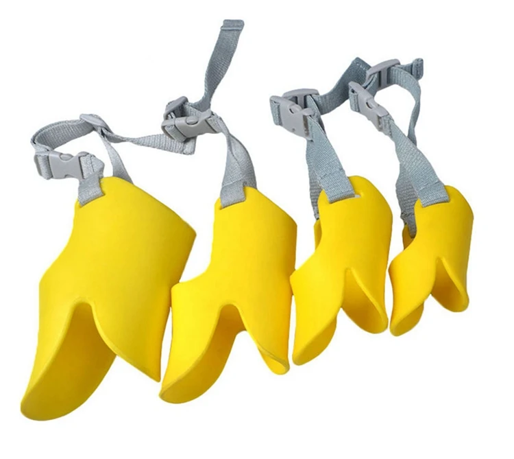 dog muzzles (6)