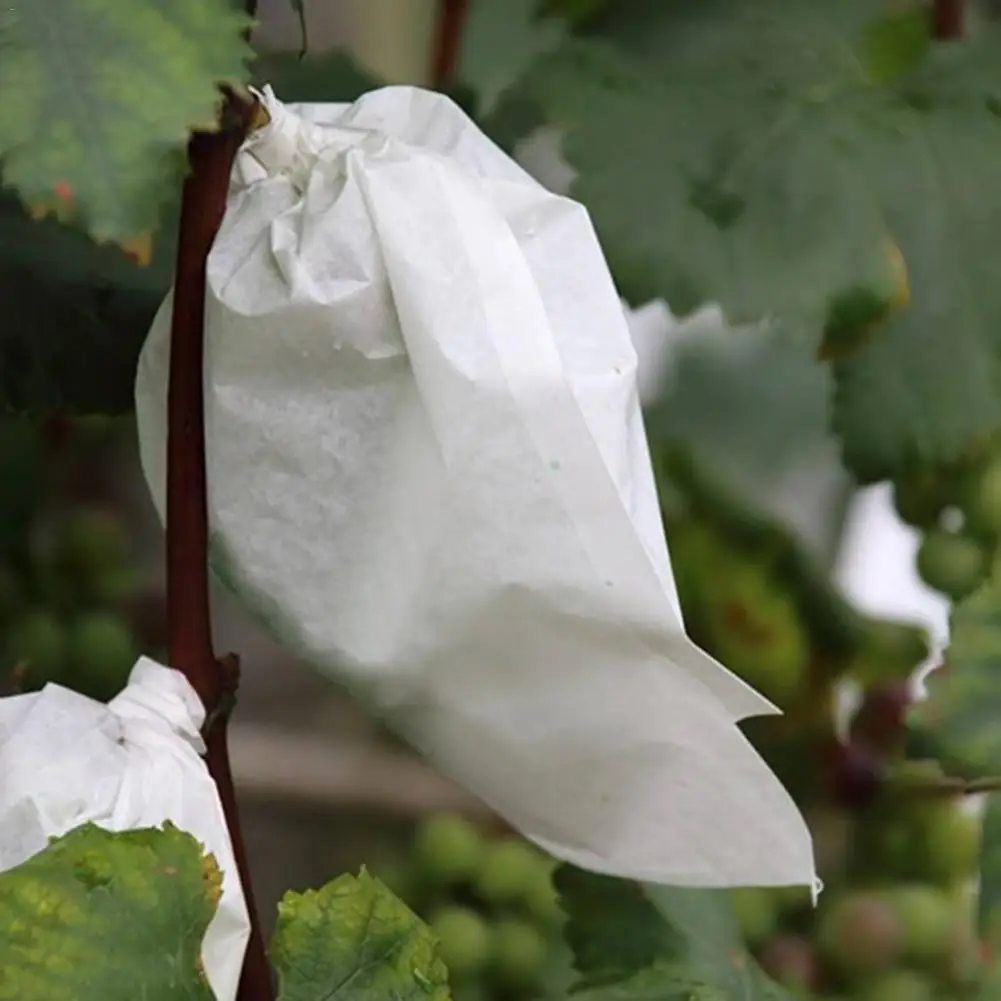 100Pcs Grape Protection Bags Multi-size Garden Fruit Protection Flower Protection Bag To Prevent Wasps, Birds, Cherry
100Pcs Grape Protection Bags Multi-size Garden Fruit Protection Flower Protection Bag To Prevent Wasps, Birds, Cherry